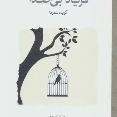 خرید کتاب فریاد بی صدا